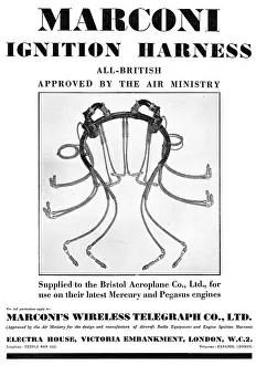 Harnesses: Marconi Shielded Ignition Harnesses