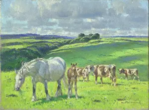 Brood: Mare and foal with cows in a meadow