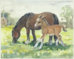 Orton: Mare and foal in a field