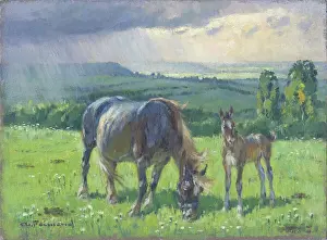 Avant: Mare and foal in a field