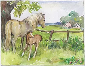 Fluttering: Mare and foal in a field with butterfly