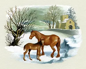 Biro: Mare and Foal in the snow