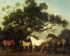 Equines: Mares, Foals, Oak Tree, by Stubbs