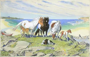 Mares: Mares and foals by the sea