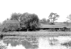Maresfield: Maresfield, Mill Pond 1902
