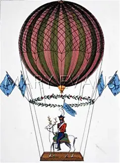 Margat: MARGAT & FLYING STAG