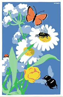 Ladybirds: Marguerite Daisies with insects