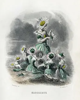 Animees: Marguerite (Daisy)
