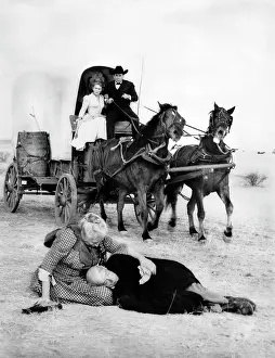 Aline: Maria Schell - Glenn Ford - Aline MacMahon - Robert Keith