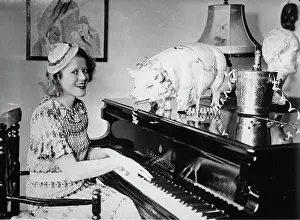 Swine: Maria Solveg - Matray