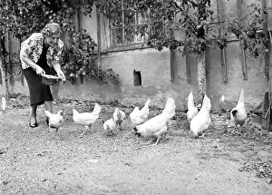 Feeds: Marianne Hoppe at her estate Zeesen