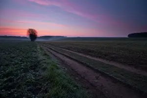 Roughly: Maricourt, Somme
