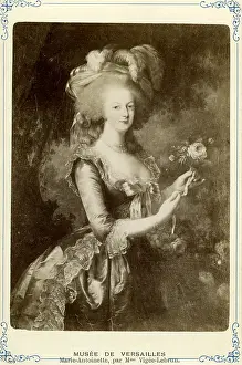 Vigee: Marie Antoinette
