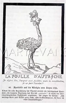Unwillingness: MARIE ANTOINETTE OSTRICH