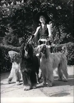 Royer: Marie Coper Royer with Afghan hounds