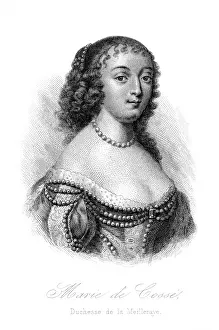 Duchesse: MARIE LA MEILLERAYE