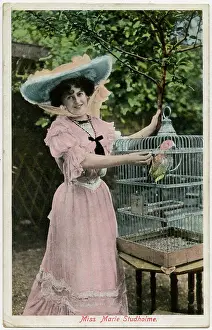 Studholme: Marie Studholme