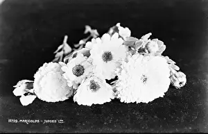 Delicate: Marigolds Arrangement