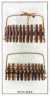 Resonator: Marimba