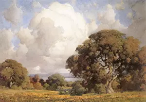 Marin: Marin Landscape