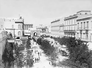 Tunis: Marina in Tunis, 1908