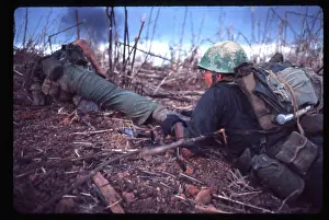 Quang: A Marine drags a mortally wounded comrade from