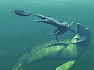 Mosasaur: Marine predators of the Cretaceous period