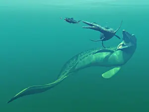 Mosasaur: Marine predators of the Cretaceous period