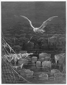 Crossbow: MARINER, ALBATROSS SHOT