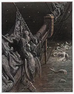 Rime: Mariner, Watersnakes