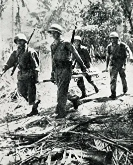 Stretcher: US Marines hold on in the Solomon Islands, WW2