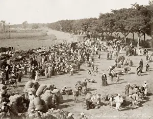 Kasr: The market, bazaar, at Kasr el Nil, Cairo, Egypt