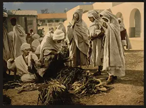 Biskra: Market, Biskra, Algeria