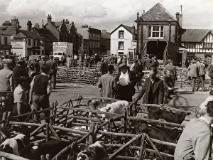 Contemplated: MARKET DAY IN THAME