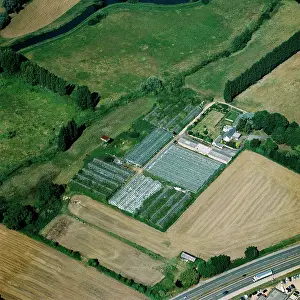 Glasshouses: Market garden