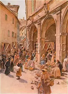 Montepulciano: MARKET/MONTEPULCIANO