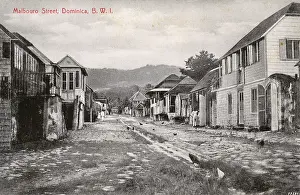 Cobblestones: Marlborough Street, Roseau, Dominica, West Indies