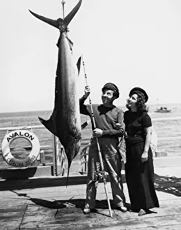 Impress: MARLIN MADNESS