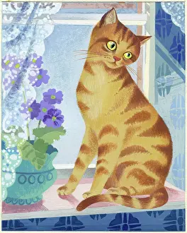 Sill: Marmalade Cat on a window sill
