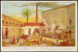 Marmalade: MARMALADE FACTORY