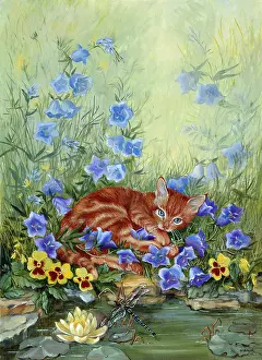 Hanrahan: Marmalade Kitten ? by a pond