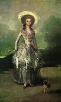 Marquesa: The Marquesa de Pontejos, by Goya
