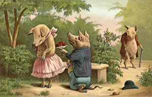 Proposal: Marriage Proposal
