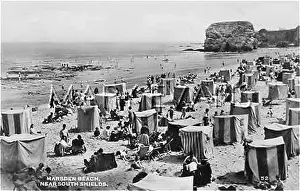 Windswept: MARSDEN BEACH