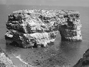 Marden: MARSDEN ROCK