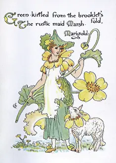 Palustris: Marsh Marigold