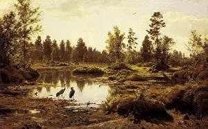 Shishkin: Marsh in Polesye