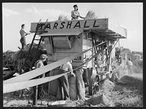 Thresher: MARSHALL THRESHER