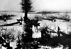 Hohenstein: Marshland in East Prussia, 1914