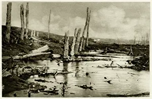 Marshland: Marshland on the Western Front; First World War, 1916
